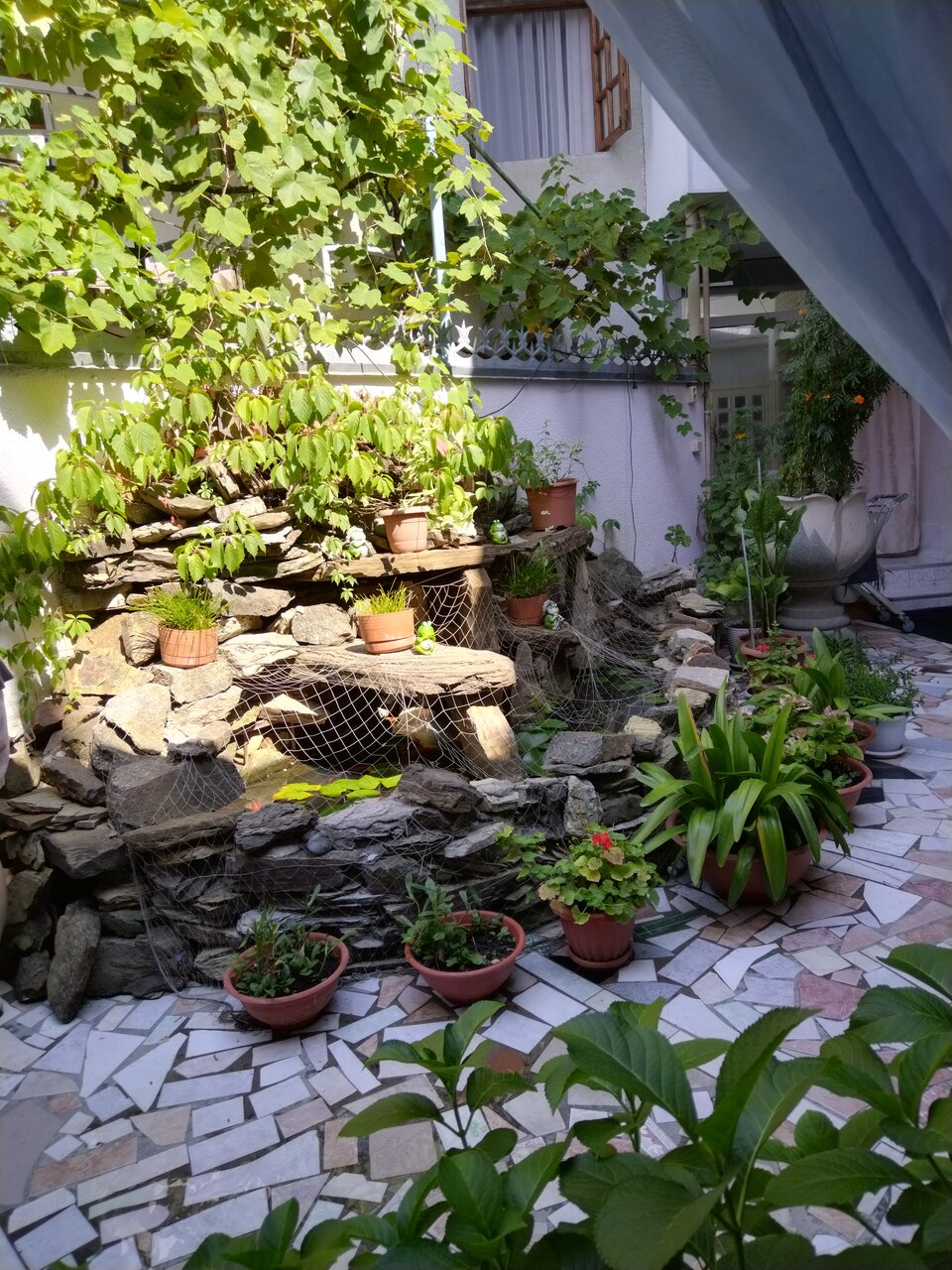 Гостиница Тетис Адлер-19