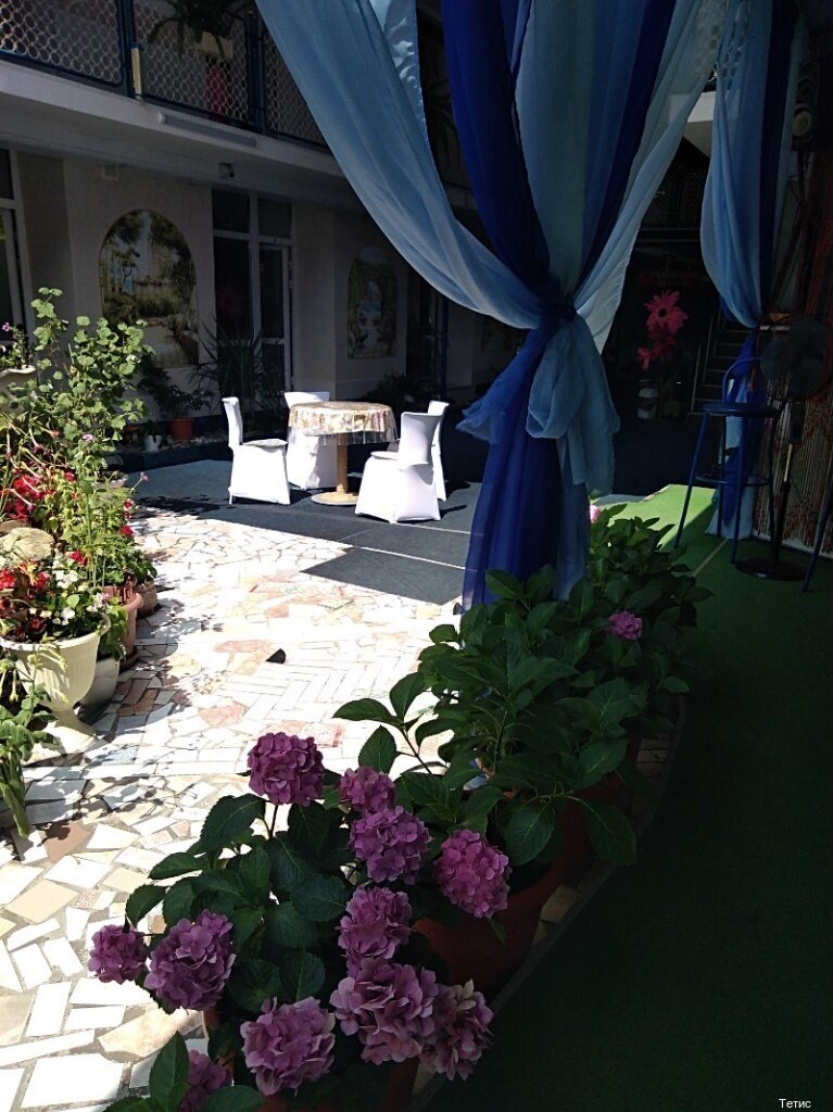 Гостиница Тетис Адлер-33