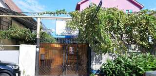 Гостиница Тетис Адлер-6