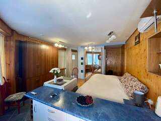 Гостиница Тетис Адлер Апартаменты-студия-2