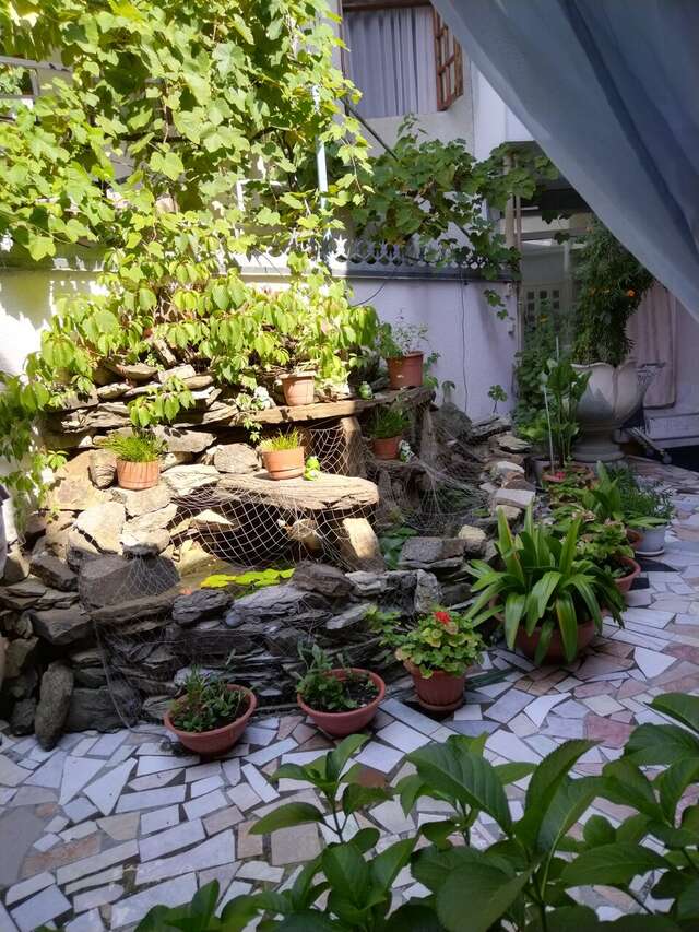 Гостиница Тетис Адлер-18