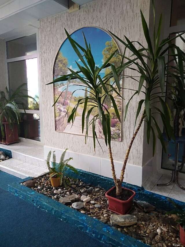 Гостиница Тетис Адлер-35